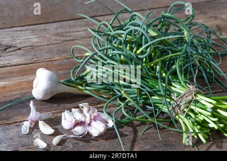 Flèches à l'ail. Un bouquet de verts sur la table. Alimentation en vitamines saine végétale. Tiges vertes de tiges plantules pour la salade et le ragoût. Herbes fraîches végétariennes, cuisine chinoise. Banque D'Images