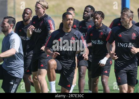 Tubize, Belgique. 15th juin 2023. Youri Tielemans photographié lors d'une session d'entraînement de l'équipe nationale belge de football Red Devils, jeudi 15 juin 2023, au siège de l'Association royale belge de football RBFA à Tubize, en préparation des matchs contre l'Autriche et l'Estonie plus tard ce mois-ci. BELGA PHOTO BRUNO FAHY crédit: Belga News Agency/Alay Live News Banque D'Images