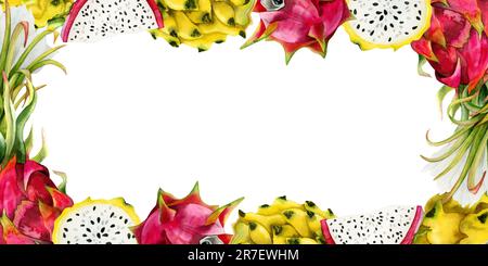 Tranches et fleurs de fruits de dragon roses et jaunes cadre horizontal avec espace de copie. Illustration de pitahaya aquarelle Banque D'Images