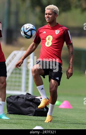 Cardiff, Royaume-Uni. 15th juin 2023. Brennan Johnson du pays de Galles pendant l'entraînement de l'équipe de football du pays de Galles au Vale Resort à Hensol, près de Cardiff, pays de Galles, le jeudi 15th juin 2023. L'équipe se prépare à la prochaine course à l'UEFA Euro 2024 demain. Usage éditorial seulement, photo par Andrew Orchard/Andrew Orchard sports photographie/Alamy Live News crédit: Andrew Orchard sports photographie/Alamy Live News Banque D'Images