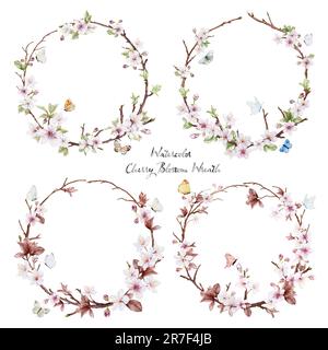 Ensemble de fleurs de cerisier et de papillons aquarelle. Collection cadre rond naturel avec arbre sakura et branche de feuilles, vecteur isolé sur b blanc Banque D'Images