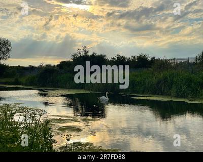 Un lever de soleil vibrant est visible à travers une couche de nuages, avec les rayons de lumière du soleil se reflétant au-dessous de l'eau calme Banque D'Images