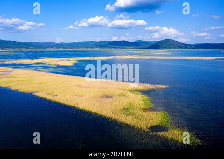 Vue aérienne de roseaux jaunes secs sur un spectaculaire lac Cerknica, l'un des plus grands lacs intermittents d'Europe, par une journée d'été ensoleillée, Cerknica, Slov Banque D'Images