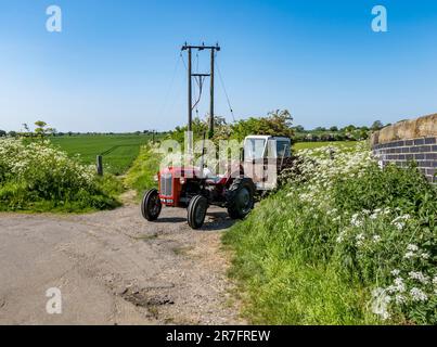 Massey Ferguson 35 a restauré le tracteur dans une passerelle prête à tracter une remorque, Cherry Willingham, Lincolnshire, Angleterre, Royaume-Uni Banque D'Images