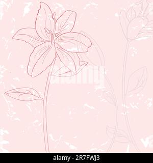 Images vectorielles avec fleurs rose lilia Illustration de Vecteur