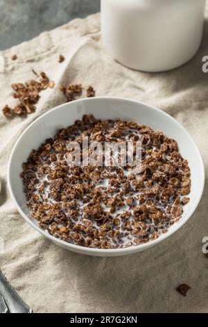 Céréales pour le petit déjeuner au chocolat sucré sain avec lait entier Banque D'Images