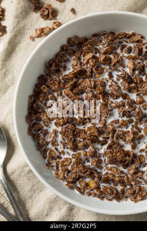 Céréales pour le petit déjeuner au chocolat sucré sain avec lait entier Banque D'Images