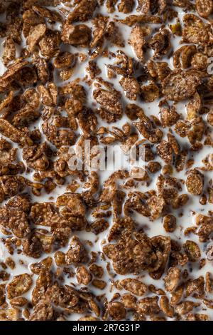 Céréales pour le petit déjeuner au chocolat sucré sain avec lait entier Banque D'Images