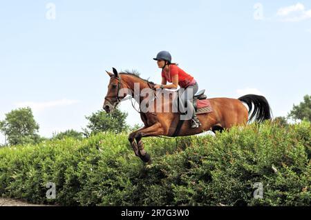 equesteenteen girl saut équestre avec le cheval de châtaignier en été, flou de mouvement Banque D'Images