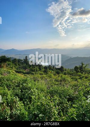 Paysage pittoresque et brumeux de collines ondulantes parsemées de végétation luxuriante Banque D'Images