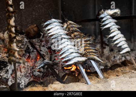 Gros plan de la sardine 'espetos' (sardine brochettes) en cours de cuisson à côté des embers. Cuisine typique de Malaga dans le sud de l'Espagne Banque D'Images