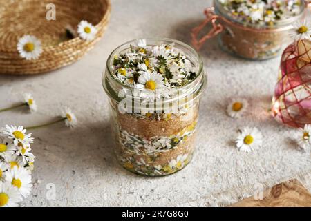 Préparer du sirop à base de plantes pour la toux à partir de fleurs de pâquerettes fraîches et de sucre de canne dans un pot en verre Banque D'Images