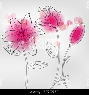 Images vectorielles avec fleurs rose lilia Illustration de Vecteur