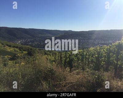 Village de Bernkastel-Kues, situé le long de la rivière Moselle en Allemagne, vacances européennes. Banque D'Images