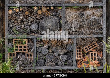 Maison d'insectes dans le jardin. Un hôtel Bug en bois au parc avec des plantes en Suisse au printemps. Banque D'Images