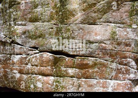Mur de roche de rivière recouvert d'algues Banque D'Images