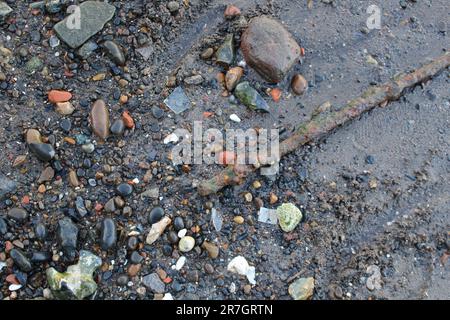 Pollution lavée assure sur la plage - dommages environnementaux à la faune et à son écosystème - à Londres le long de la Tamise Banque D'Images