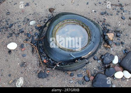 Pollution lavée assure sur la plage - dommages environnementaux à la faune et à son écosystème - à Londres le long de la Tamise Banque D'Images