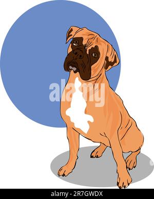 Tête de chien de caleçon marron musclé, blanche et noire tournée vers l'avant Illustration de Vecteur