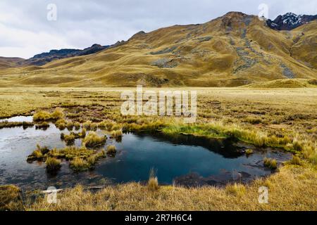 Une colline verdoyante avec un petit ruisseau qui traverse son milieu Banque D'Images