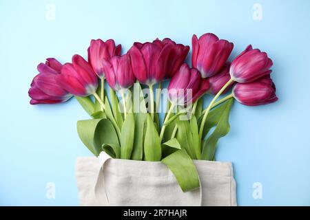 Superbes tulipes violettes dans un sac fourre-tout sur fond bleu clair, vue du dessus Banque D'Images