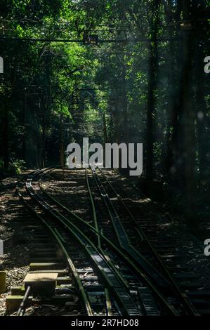 Les voies ferrées d'une boucle de passage de Corcovado rack Railway sous l'ombre des arbres, entre une section sombre de la dense forêt de Tijuca végétation verte. Banque D'Images