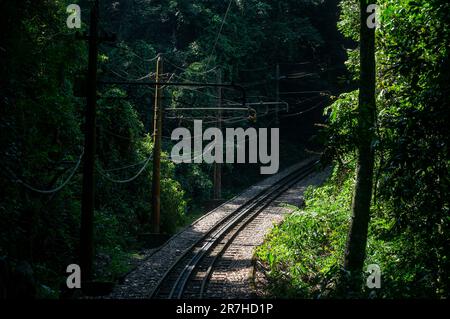 Une courbe à droite en montée des voies ferrées Corcovado rack Railway courant entre une section sombre de la dense végétation verte de la forêt de Tijuca dans une journée ensoleillée. Banque D'Images