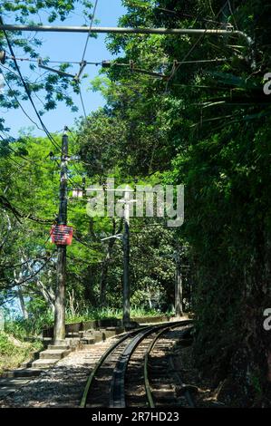 Corcovado rack Railway voies ferrées entre la forêt dense de Tijuca dans le district de Santa Teresa, près du sommet du Corcovado sous la journée ensoleillée d'été. Banque D'Images