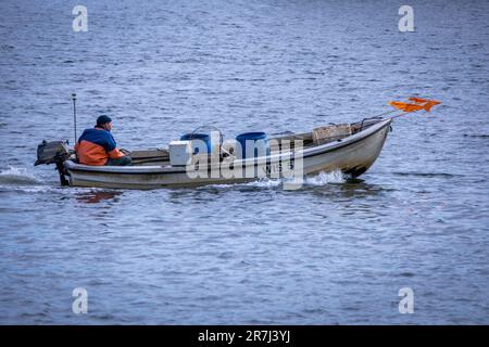 Wismar, Allemagne. 02nd juin 2023. Un pêcheur retourne au port avec son bateau après une sortie de pêche sur la mer Baltique. Credit: Jens Büttner/dpa/Alay Live News Banque D'Images