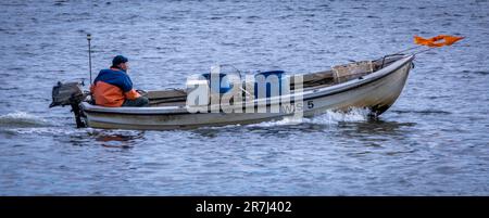 Wismar, Allemagne. 02nd juin 2023. Un pêcheur retourne au port avec son bateau après une sortie de pêche sur la mer Baltique. Credit: Jens Büttner/dpa/Alay Live News Banque D'Images