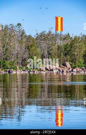 Nidification des grands oiseaux cormorans sur l'île de Lilla Rövarn, Loviisa, Finlande Banque D'Images