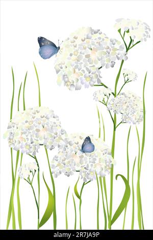Magnifique papillon et fleurs sur fond blanc Illustration de Vecteur