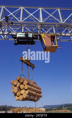 Afrique du Sud, Mpumalanga. Troncs de transport de grues à 'Global Forest', industrie du bois. Banque D'Images