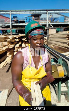 Afrique du Sud, Mpumalanga. Employée féminine de « Global Forest », industrie du bois. Banque D'Images
