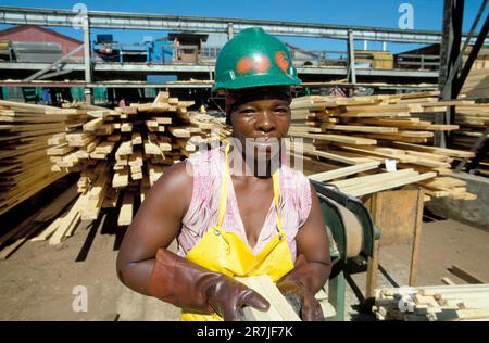 Afrique du Sud, Mpumalanga. Employée féminine de « Global Forest », industrie du bois. Banque D'Images