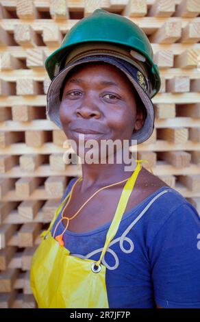 Afrique du Sud, Mpumalanga. Employée féminine de « Global Forest », industrie du bois. Banque D'Images