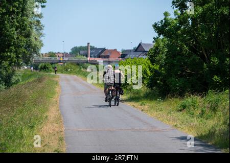 Wichelen, région flamande de l'est, Belgique - 4 juin 2023 - deux cyclistes qui traversent les bois et les prairies Banque D'Images