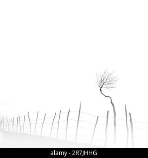 La photographie minimaliste est une esthétique d’omission et de solitude qui exprime l’énigme de notre monde. Banque D'Images