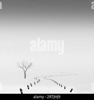 La photographie minimaliste est une esthétique d’omission et de solitude qui exprime l’énigme de notre monde. Banque D'Images