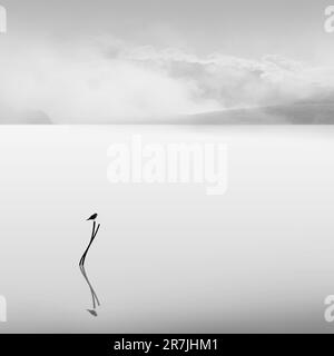 La photographie minimaliste est une esthétique d’omission et de solitude qui exprime l’énigme de notre monde. Banque D'Images