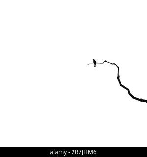 La photographie minimaliste est une esthétique d’omission et de solitude qui exprime l’énigme de notre monde. Banque D'Images