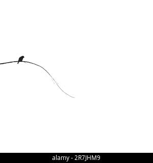 La photographie minimaliste est une esthétique d’omission et de solitude qui exprime l’énigme de notre monde. Banque D'Images