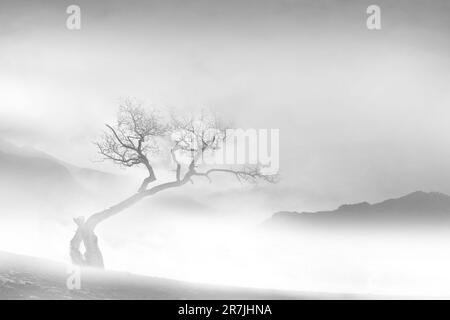 La photographie minimaliste est une esthétique d’omission et de solitude qui exprime l’énigme de notre monde. Banque D'Images