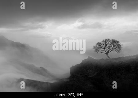 La photographie minimaliste est une esthétique d’omission et de solitude qui exprime l’énigme de notre monde. Banque D'Images