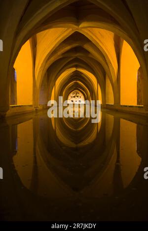 Les thermes de Dona Maria de Padilla, une longue salle voûtée sous l'Alcazar à Séville, Andalousie, Espagne. Banque D'Images