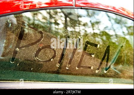 Le mot pollen écrit dans le pollen d'arbre de pin sur la fenêtre latérale d'une voiture. Banque D'Images