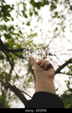 Une femme tenant un lansball de verre contre des arbres verts en Ontario, au Canada Banque D'Images