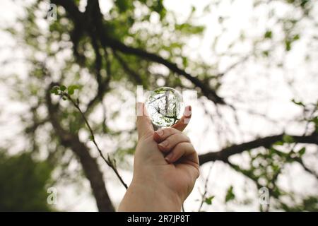 Une femme tenant un lansball de verre contre des arbres verts en Ontario, au Canada Banque D'Images