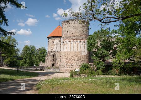 Vue sur le château médiéval de Cēsis en Lettonie Banque D'Images