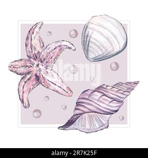 La composition est dans un carré gris avec des coquillages, une étoile de mer et des perles de couleur rose et lilas. Illustration aquarelle, isoler sur un blanc Banque D'Images